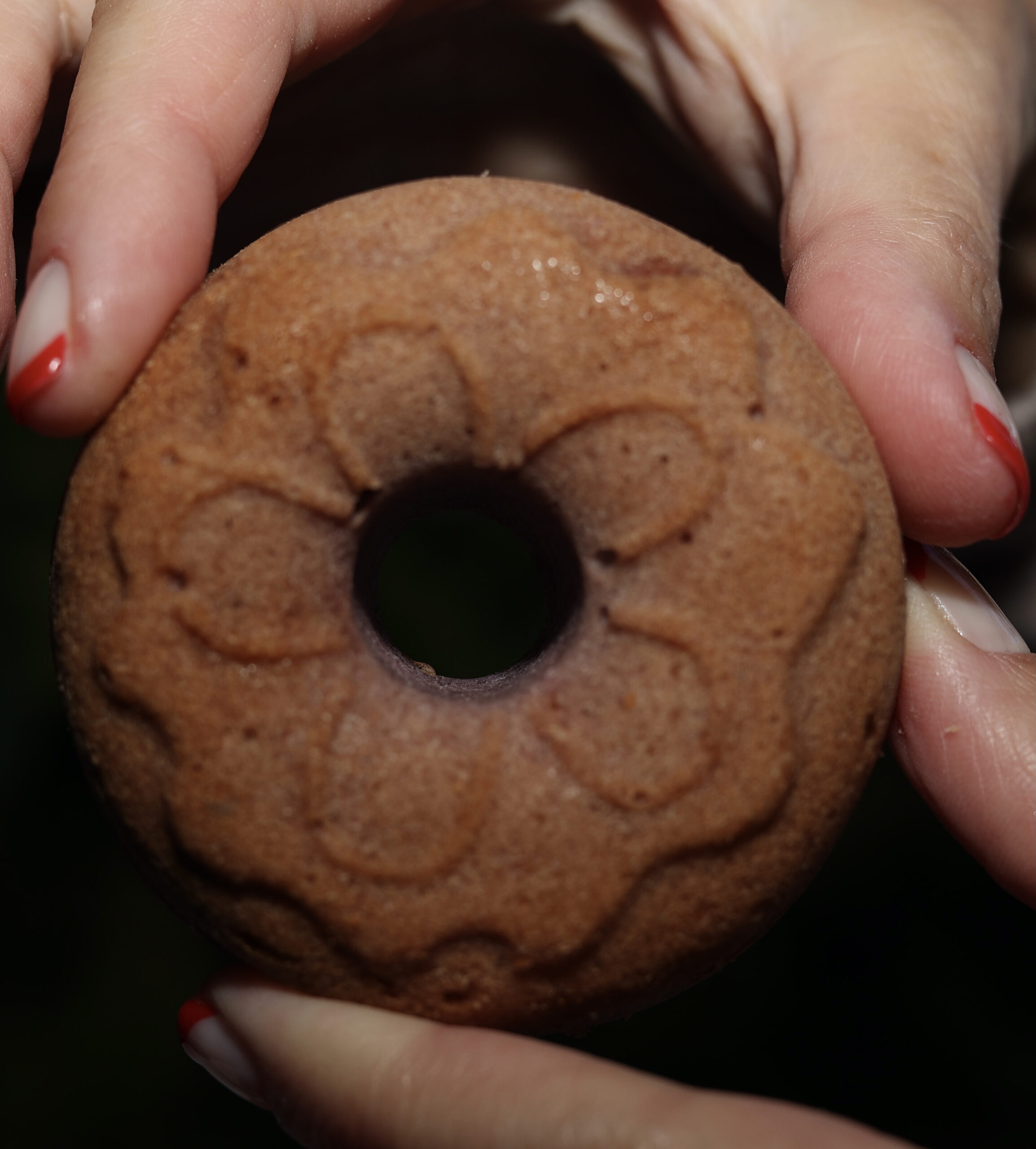 ciambelle albumi e cioccolato