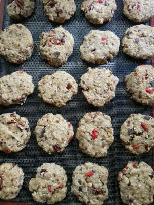 biscotti d'avena da cuocere